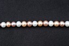Mixed Round 6-6.5mm : AA Grade Pearls > Mixed Colour