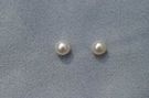 White Round 7-7.5mm : AAA Grade Pearls > White